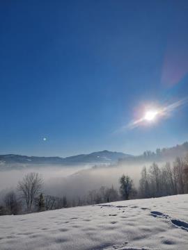 Slika: razgled na poti